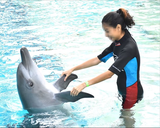 En delfin i fangenskab i Singapore udnyttes som rekvisit på turistfoto