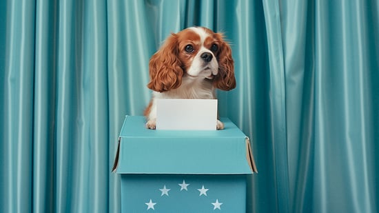 Hund stemmer ved EU-valget