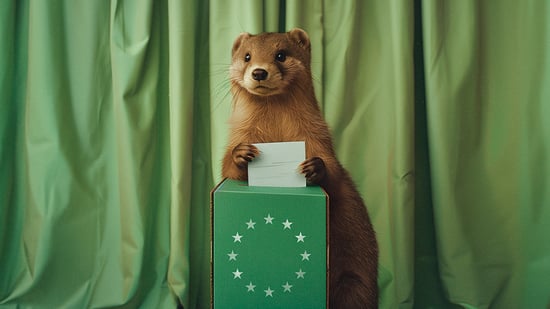 Mink stemmer ved EU-valget