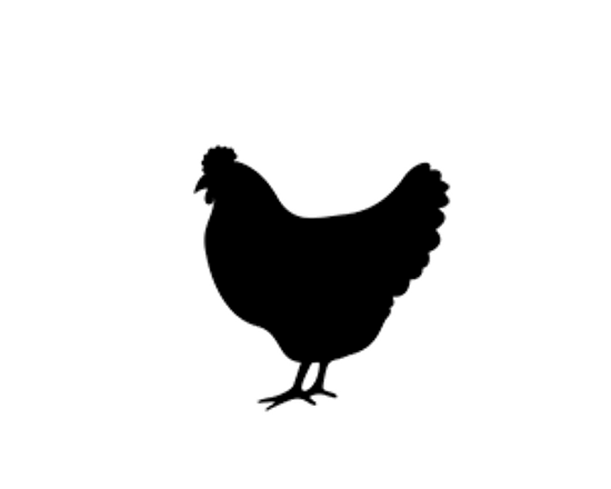 Ikon af kylling