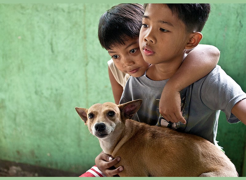 To drenge, der har taget deres hund med til en af vores klinikker for at få den vaccineret mod rabies.