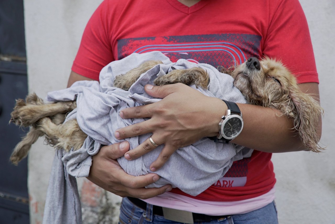 En ejer venter på at få dyrlægebehandling af sin hund efter et vulkanudbrud i Guatemala