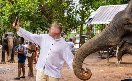 Turist tager selfie med en elefant ved Elephant Jungle Sanctury i Phuket, Thailand