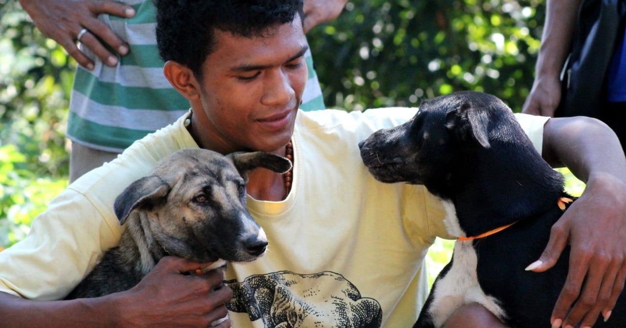 Mand og hunde i Bali