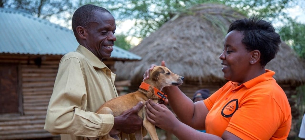 Hunden Bruno fra Kenya