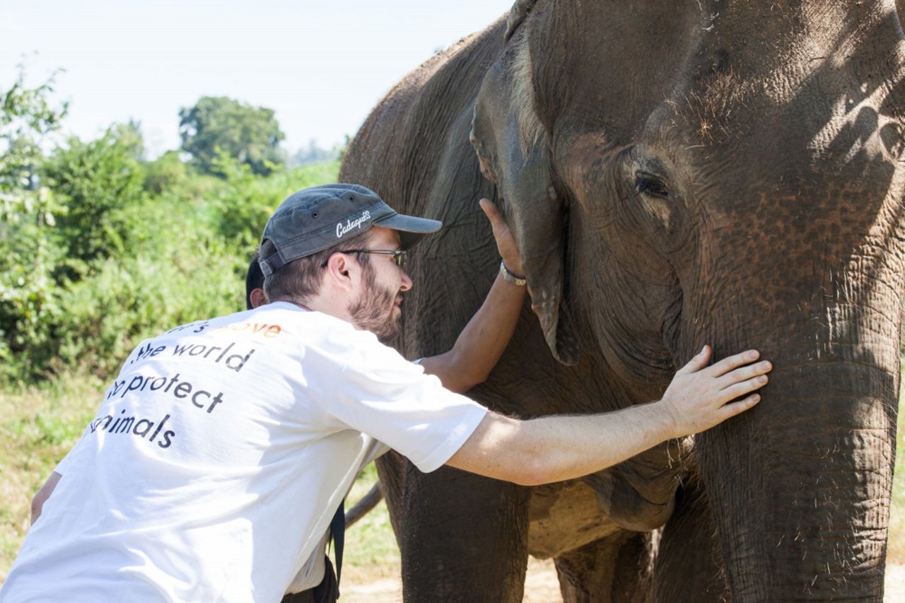 Dr Jan examining a rescued elephant at a sanctuary.