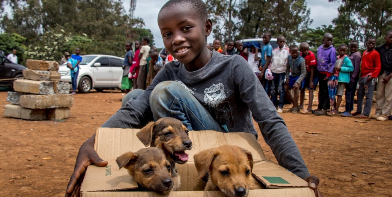 Dreng med hund i Kenya