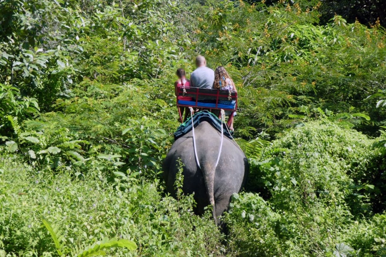 Chok gav sin sidste ridetur den 31. oktober 2019