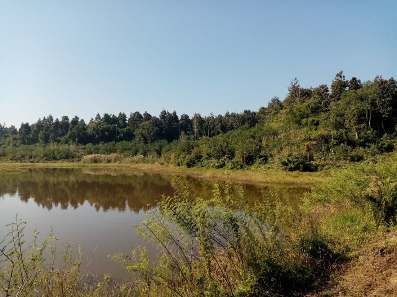 Der er masser af muligheder for, at elefanterne kan udfolde deres naturlige adfærd i Elephant Valley Safair