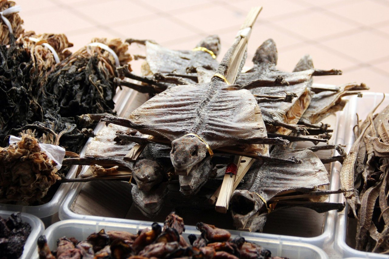 Bodies of Lizards dried for use in traditional medicine in a Chinese Pharmacy in Singapore - World Animal Protection