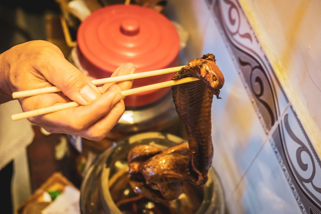 Bodies of Lizards dried for use in traditional medicine in a Chinese Pharmacy in Singapore - World Animal Protection