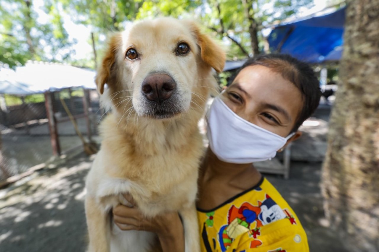 Vi har fodret hunde i Thailand