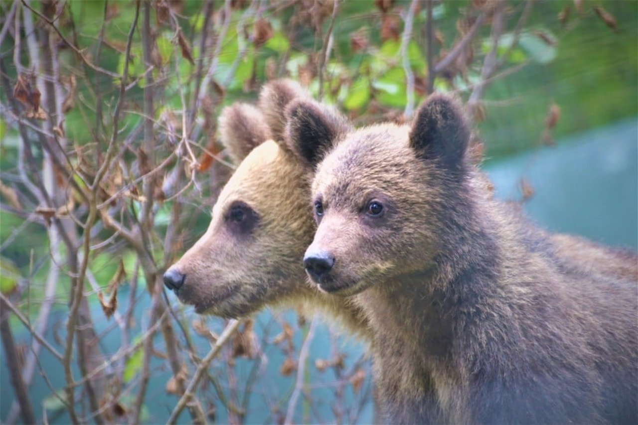 Libearty-reservatet. Foto: AMP