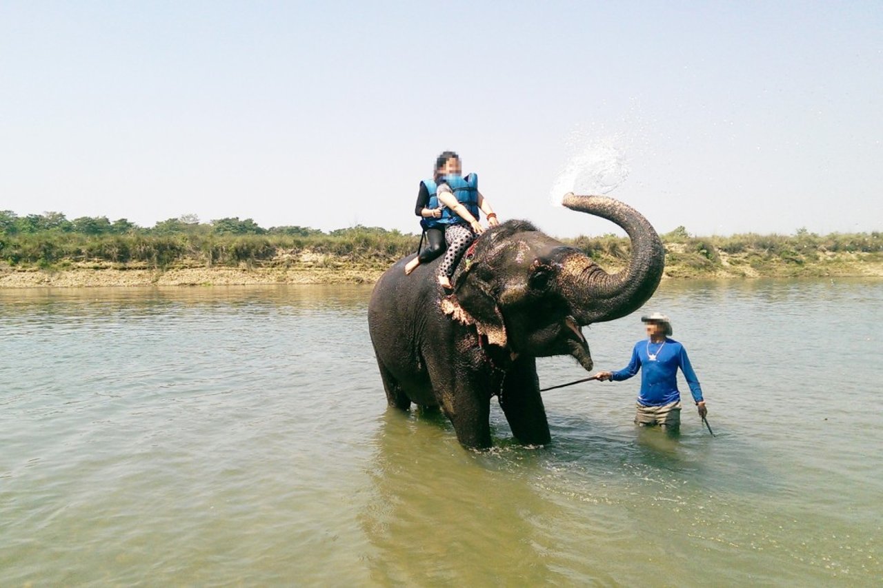 Elefantbadning og -vask er populære turistaktiviteter