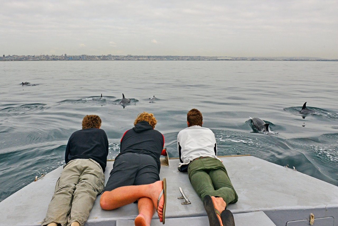 Algoa Bay i Sydafrika er udnævnt til Whale Heritage Site