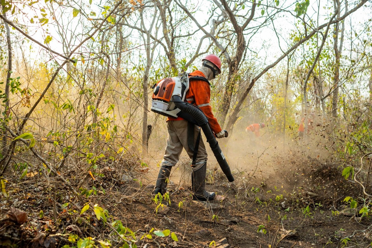 Flugtruter i Pantanal hjælper de vilde dyr til at undslippe brandene