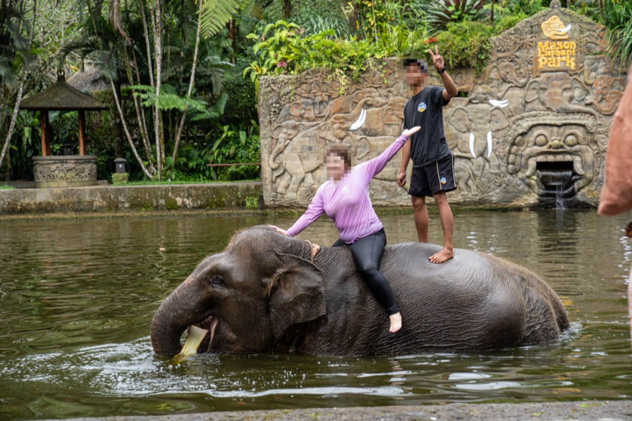 Elefanterne bliver udnyttet til turistunderholdning i Mason Elephant Park  på Bali