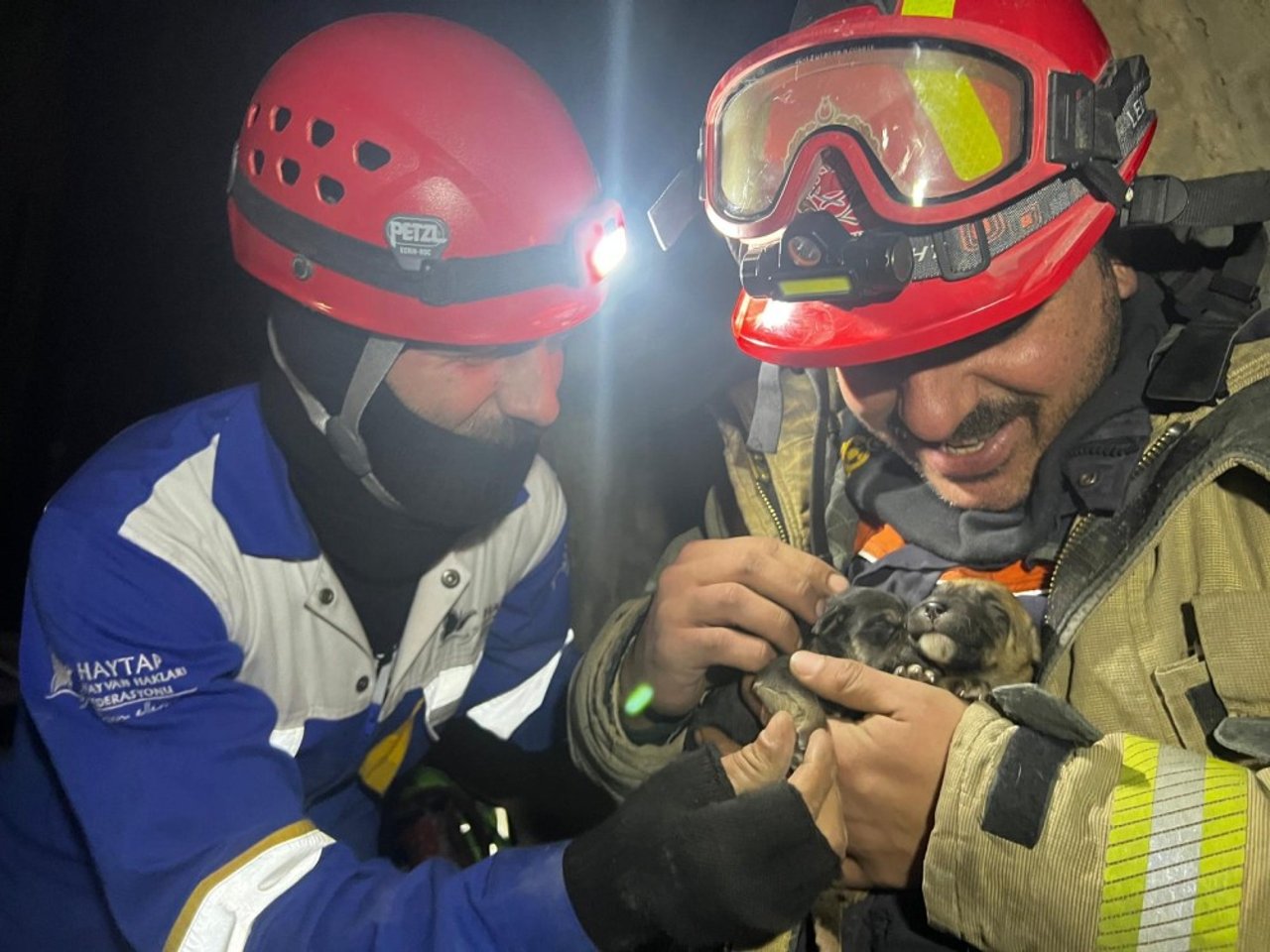 Aardbeving reddingsteam honden Haytap