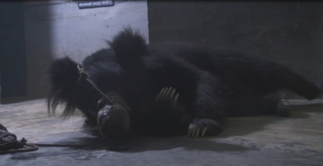 bera01