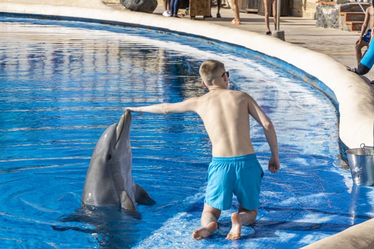I Aqualand på Tenerife kan de besøgende få taget billeder med delfinerne.