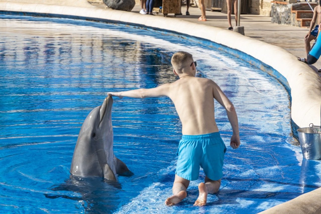Delfinshow i Aqualand, hvor de besøgende betaler for nærkontakt med dyrene.