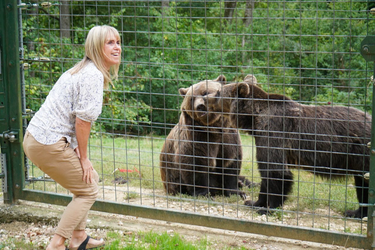 I bjørnereservatet Libearty lever bjørnene et naturligt bjørneliv