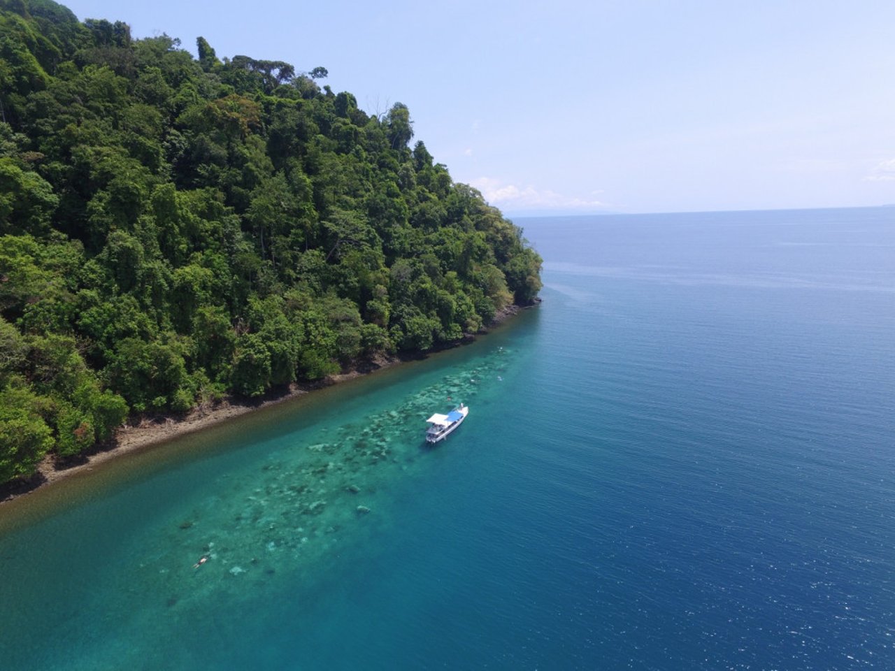 Det hvalvenlige område Golfo Dulce i Costa Rica. Foto: Changing Tide Tours