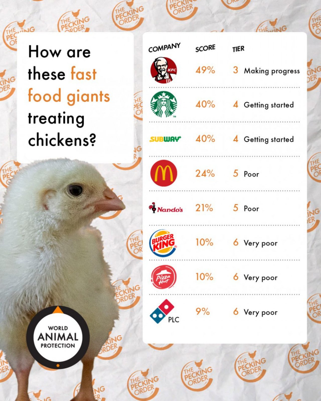 The Pecking Order rangordner fastfoodkæderne i forhold til dyrevelfærd