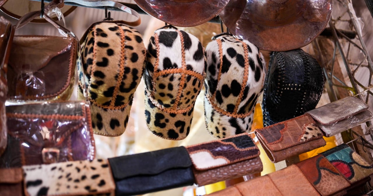 Modevarer lavet af jaguarpels sælges på boliviansk marked. Fra dokumentaren Jaguar Spirit af Emi Kondo.