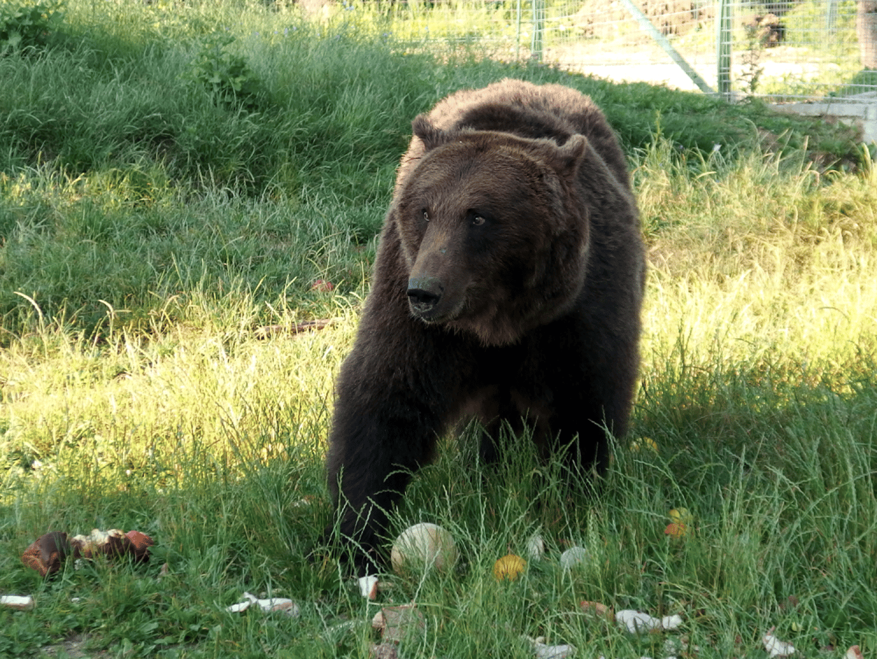 marinel-fra-zoo-til-reservat