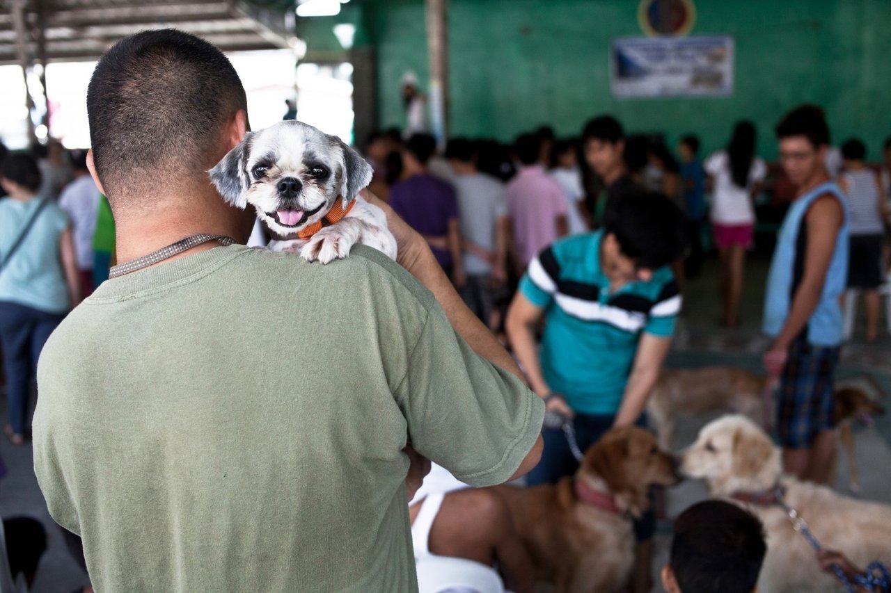 Two children holding small puppy - World Animal Protection