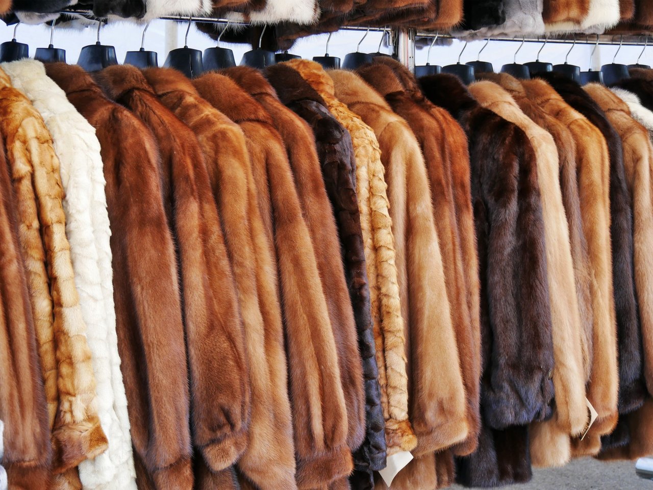 Flere store modehuse dropper pels i deres kollektioner