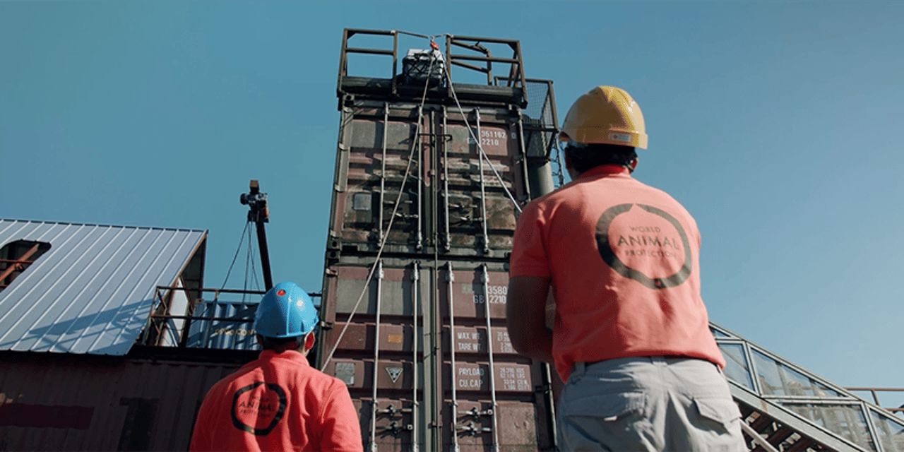 A rescue drill with World Animal Protection Staff