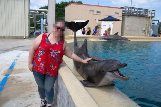Turist får taget foto med delfin, der ligger på bassinkant.
