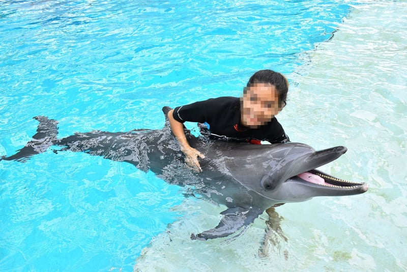 Ikke blot lider delfiner i fangenskab – de kan også være til fare for mennesker.