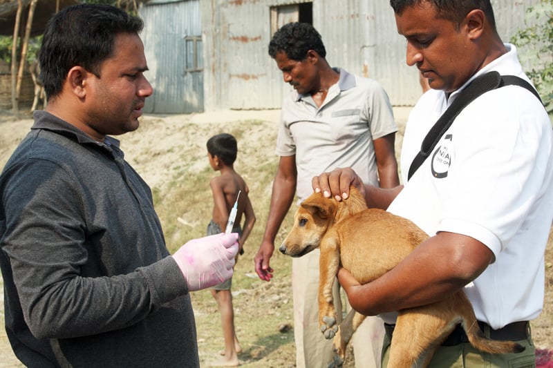 Vaccinationsteamen når ut till landsbygden i Bangladesh