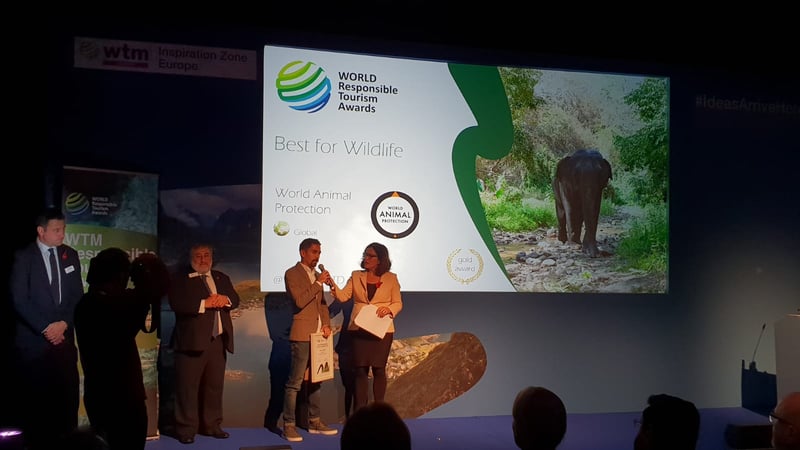 Vores kampagne for at stoppe udnyttelsen af vilde dyr i turistindustrien har vundet en guldpris ved World Responsible Tourism Awards 2018.