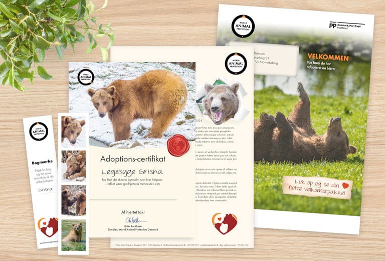 Velkomstpakke Grisha