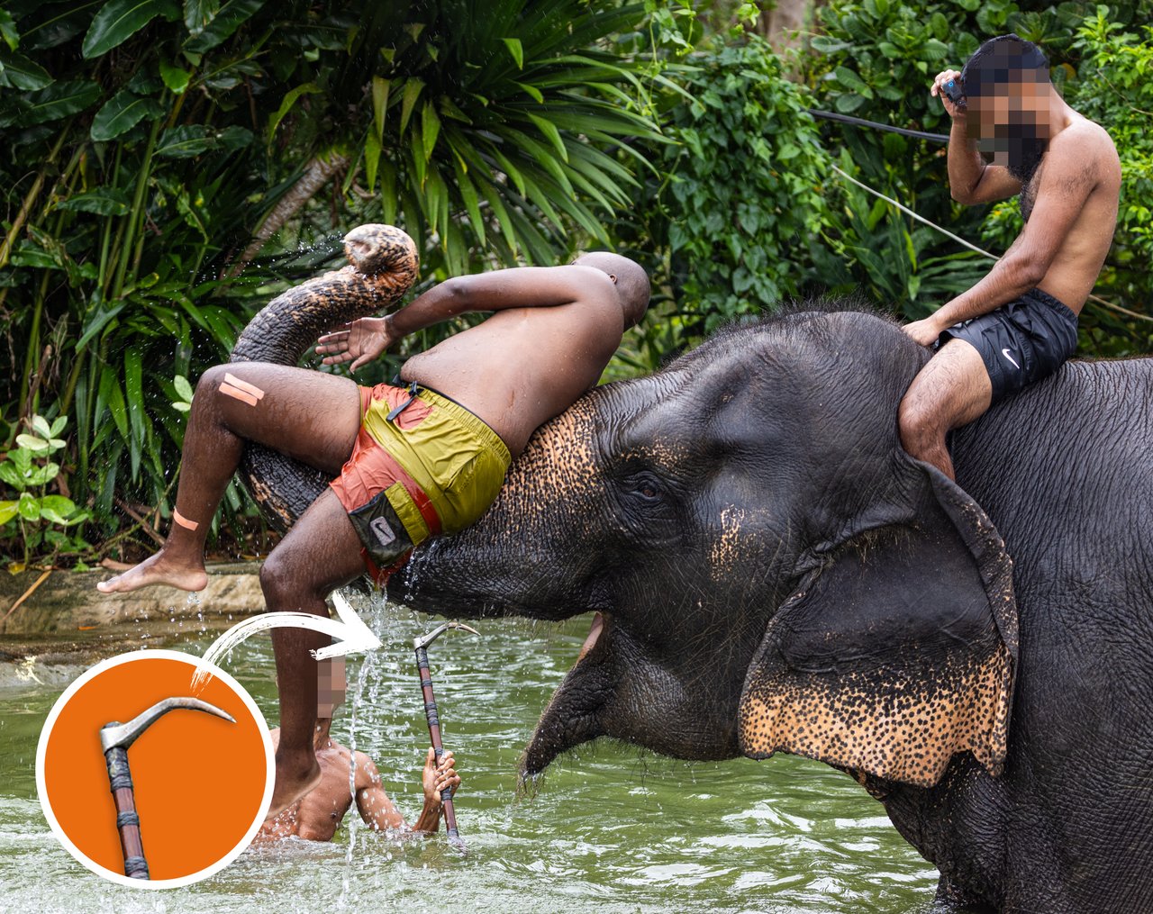 Turister bader med elefant, som bliver holdt under kontrol med jernkrog
