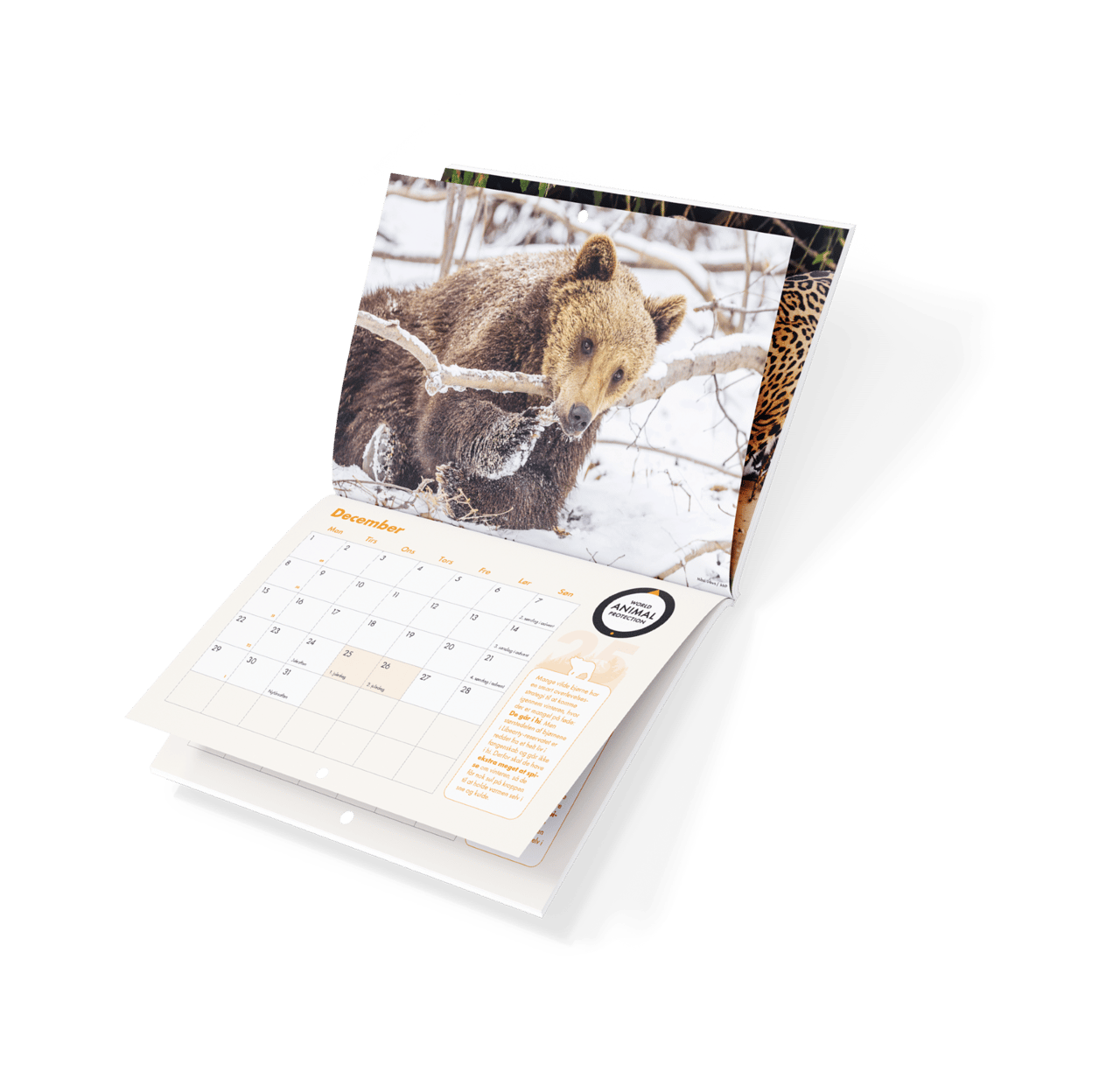 Kalender 2025
