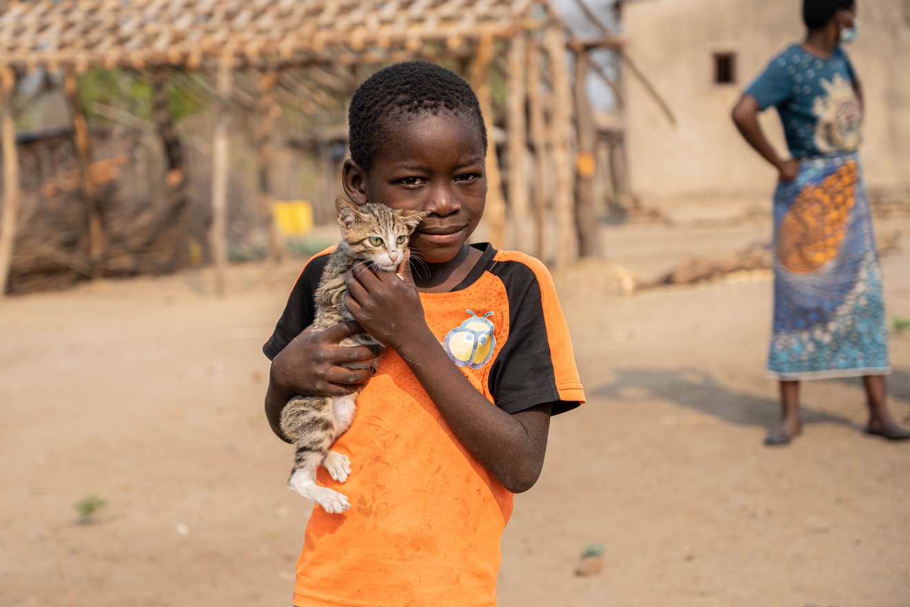 En dreng og hans kat, som er blevet vaccineret