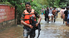 Vi hjalp tusindvis af dyr, da delstaten Kerala i Indien i august 2019 blev ramt af voldsomme oversvømmelser. AFP Photo / Manjunath Kiran