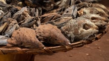 Voodoo-marked i Benin, Vestafrika
