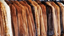 fur free copenhagen fashion week
