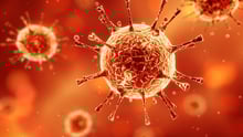Coronavirus and natural disasters 