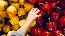 A hand picking vegetable from a wall of colourful red and yellow peppers