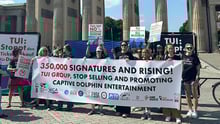 Protest mod TUIs udnyttelse af delfiner foran Brandenburger Tor