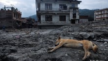 Reuters Nepal Floods 2026
