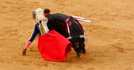 Forbud mod tyrefægtning omstødt