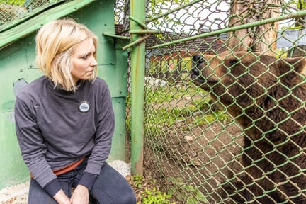 Lina Dahl kigger ind gennem jerngitteret til bjørnen Baloo.